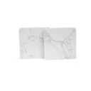 CARRARA - Giftology Set of 2 Marble Coasters